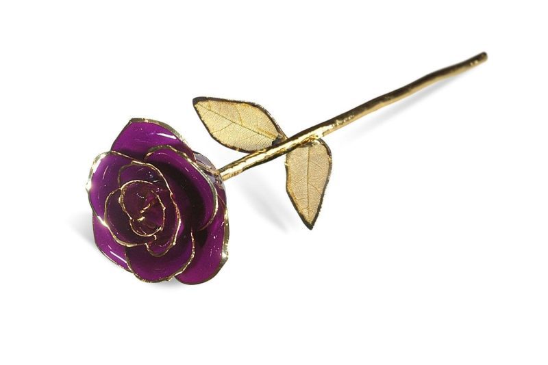 Purple Gold Leaf without PremiumDisplay Case - Infinity Rose