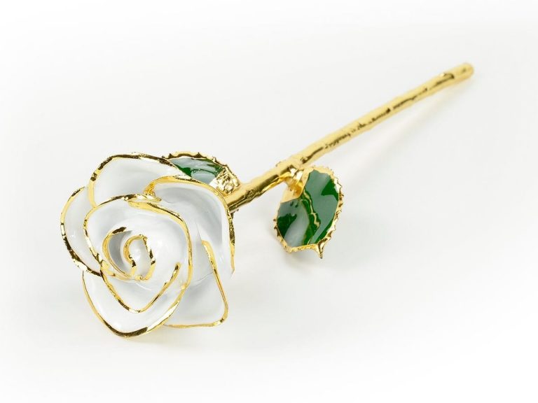 white rose gift