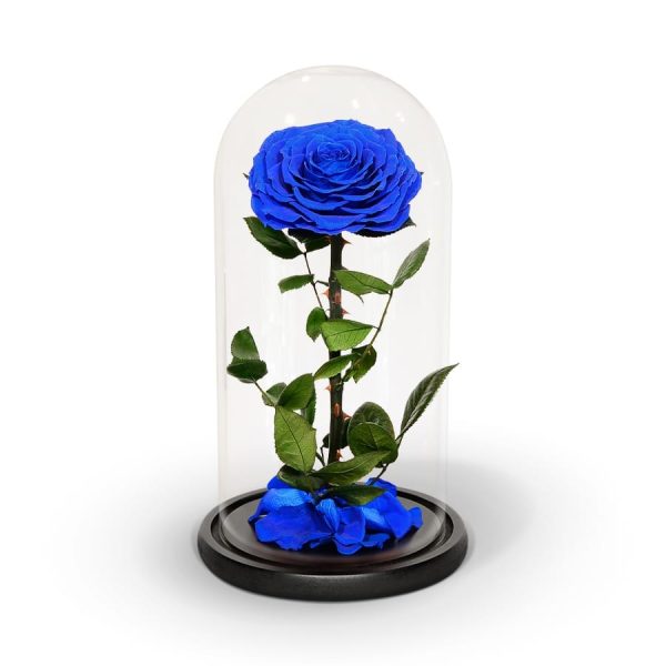 Royal Blue Preserved Rose<br/><sub> in Glass Dome</sub>