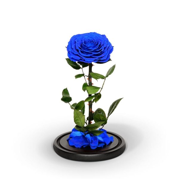 Royal Blue Preserved Rose<br/><sub> in Glass Dome</sub> - Image 2