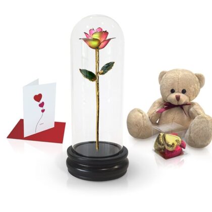 Premium Full Coloured Roses with Glass Dome Gift Sets