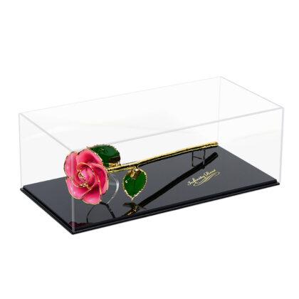 Premium Full Coloured Roses with Clear Lid Display Case