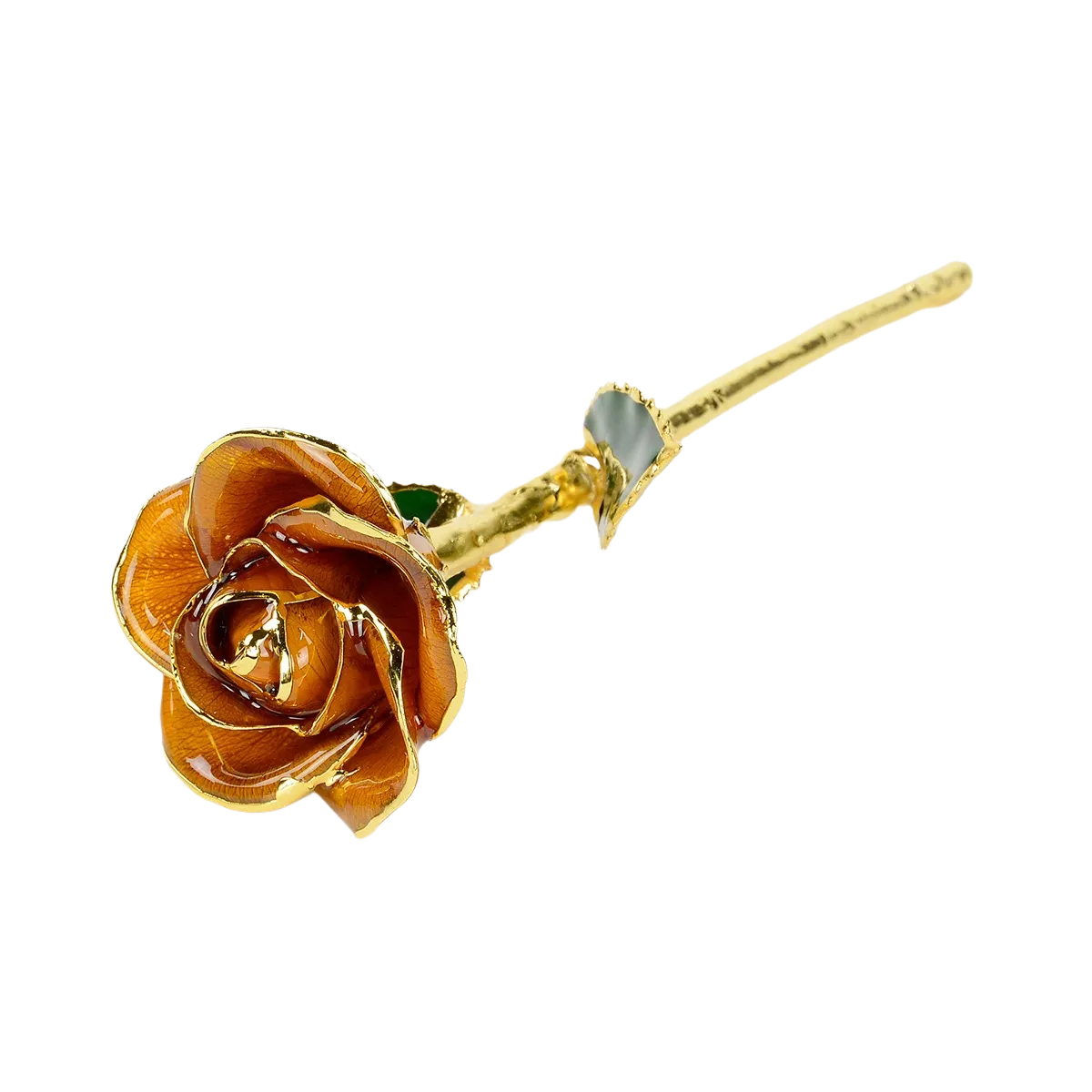 Orange Rose without Premium Display Case