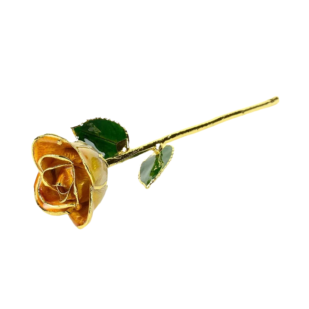 Orange Two Tone Rose without Premium Display Case