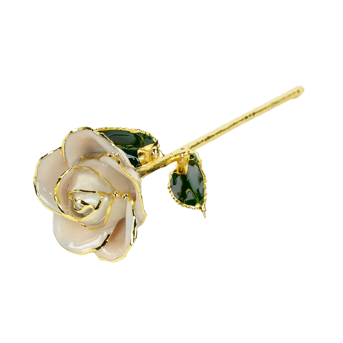 Raw Pearl Rose without Premium Display Case
