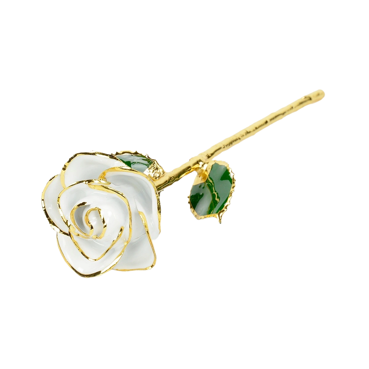 White Rose without Premium Display Case