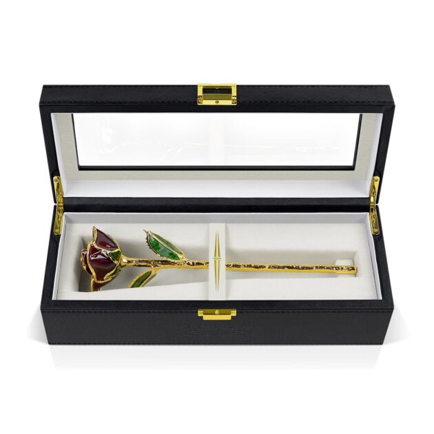 Burgundy Rose<br/><sub> with Premium Glass Lid Display Case</sub> - Image 5