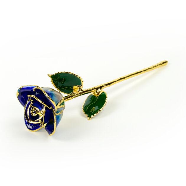 Dark Blue Two Tone Rose<br/><sub> with Premium Glass Lid Display Case</sub> - Image 4