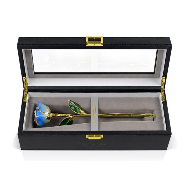 Light Blue Two Tone Rose<br/><sub> with Premium Glass Lid Display Case</sub>