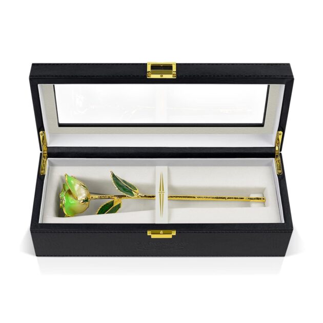 Light Green Two Tone Rose<br/><sub> with Premium Glass Lid Display Case</sub> - Image 5