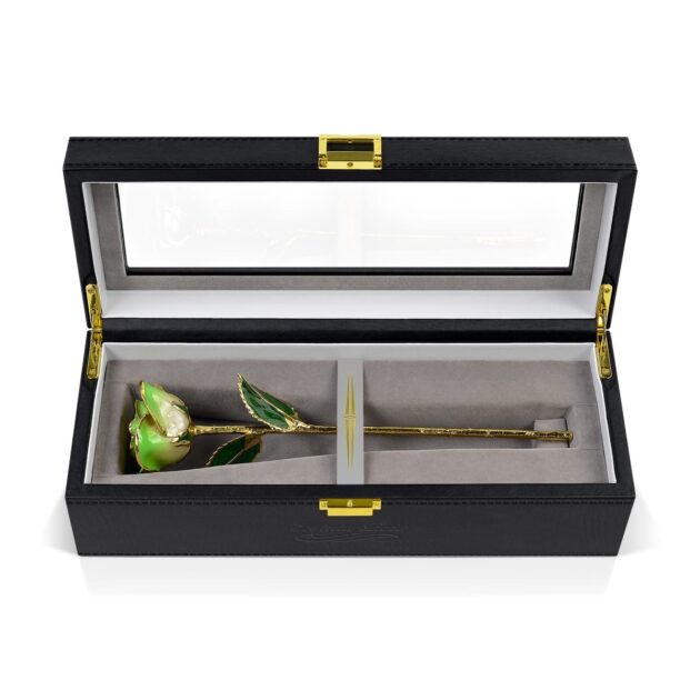 Light Green Two Tone Rose<br/><sub> with Premium Glass Lid Display Case</sub>