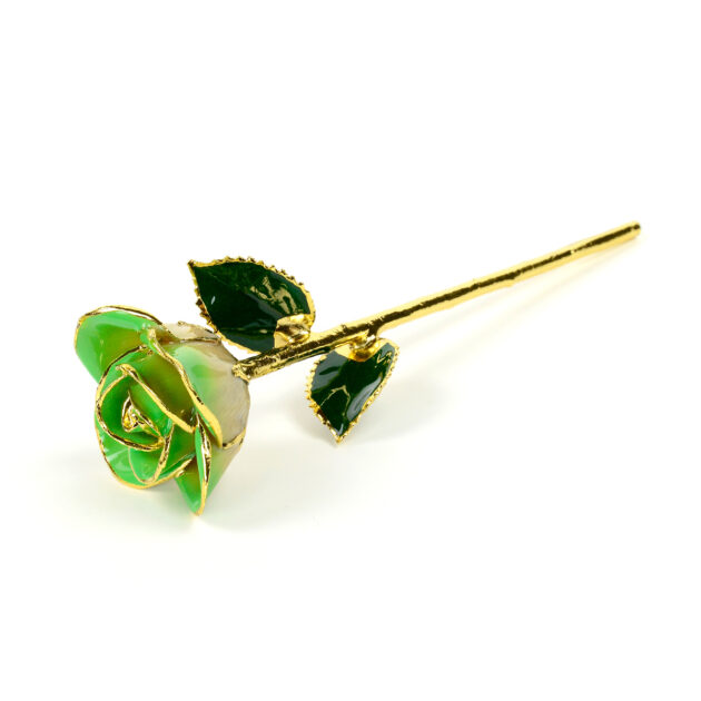 Light Green Two Tone Rose<br/><sub> with Premium Glass Lid Display Case</sub> - Image 4