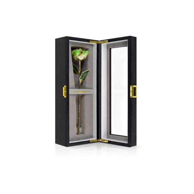 Light Green Two Tone Rose<br/><sub> with Premium Glass Lid Display Case</sub> - Image 3