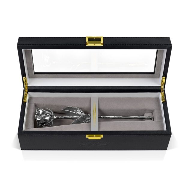 Platinum Rose<br/><sub> with Premium Glass Lid Display Case</sub>