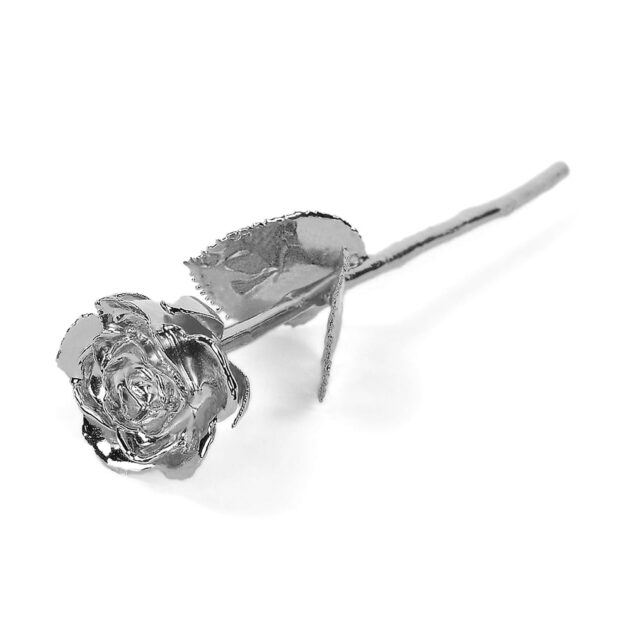 Platinum Rose<br/><sub> with Premium Glass Lid Display Case</sub> - Image 4