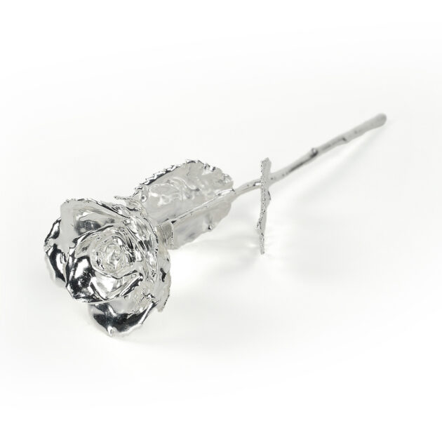 Silver Rose<br><sub> with Premium Gift Set</sub> - Image 5
