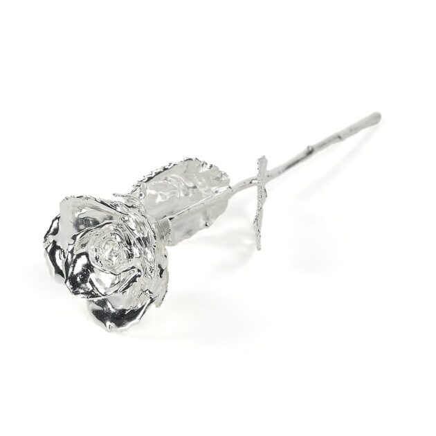 Silver Rose<br/><sub> with Premium Glass Lid Display Case</sub> - Image 4