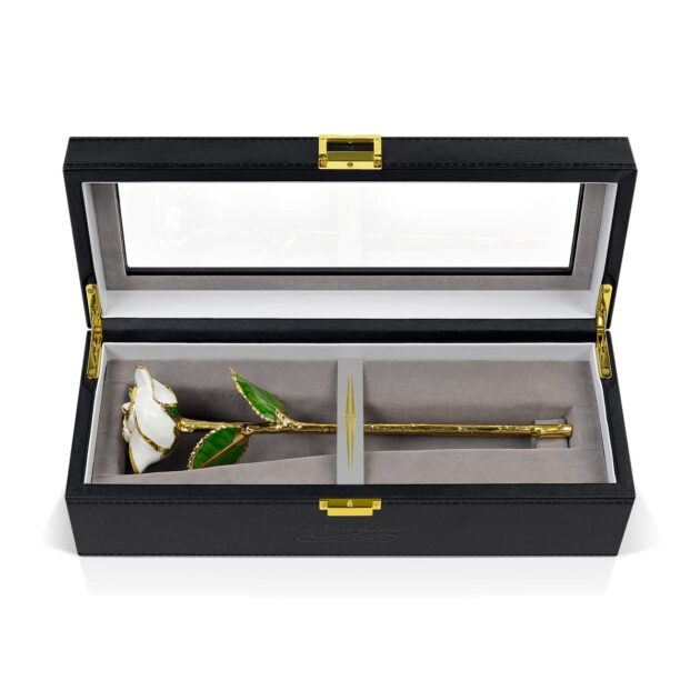 White Rose<br/><sub> with Premium Glass Lid Display Case</sub>
