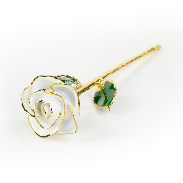 White Rose<br/><sub> with Premium Glass Lid Display Case</sub> - Image 4