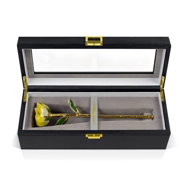 Yellow Two Tone Rose<br/><sub> with Premium Glass Lid Display Case</sub>