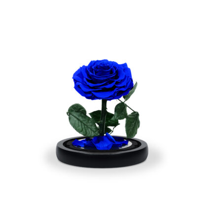 1_Stem_Blue_Rose