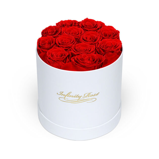 Red Boxed Rose 1
