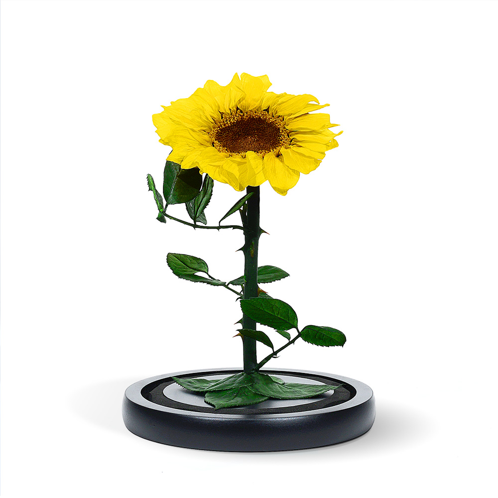 Sun Flower Mini Dome