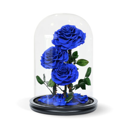 Triple Blue Roses Dome