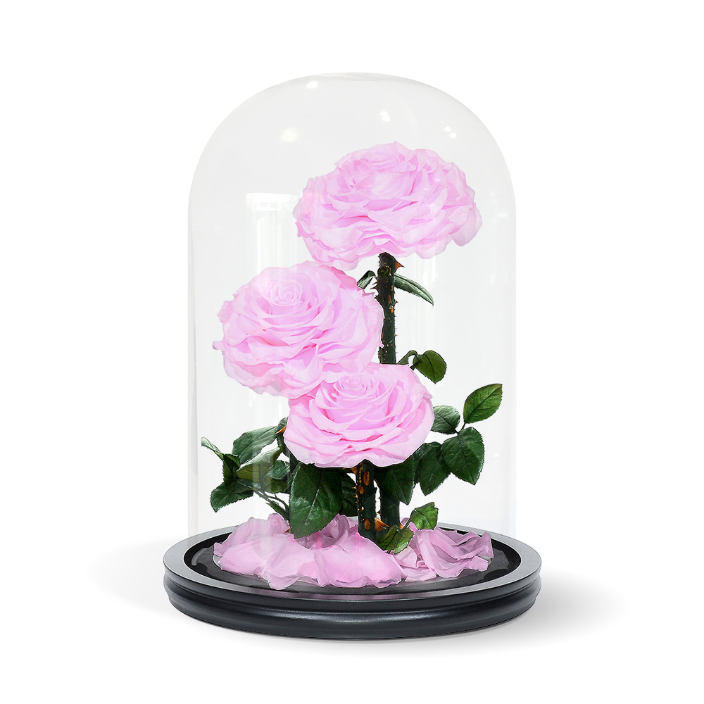 Pink Triple Infinity Rose