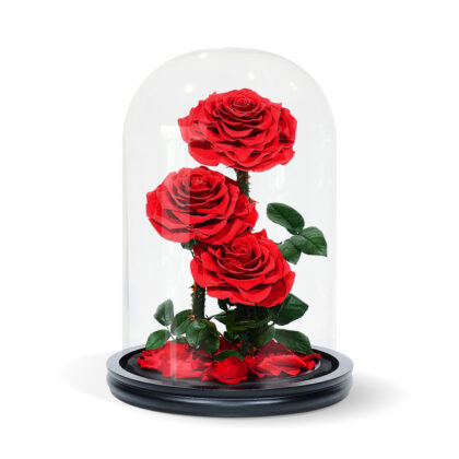 Triple Red Roses Dome
