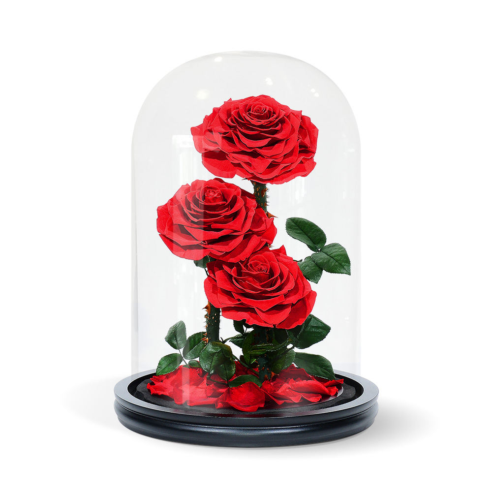 Triple Red Roses Dome