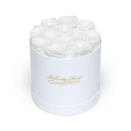 White Boxed Rose 1