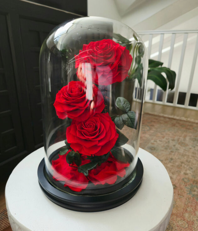 Red Infinity Rose triple rose in Glass Dome - Image 3