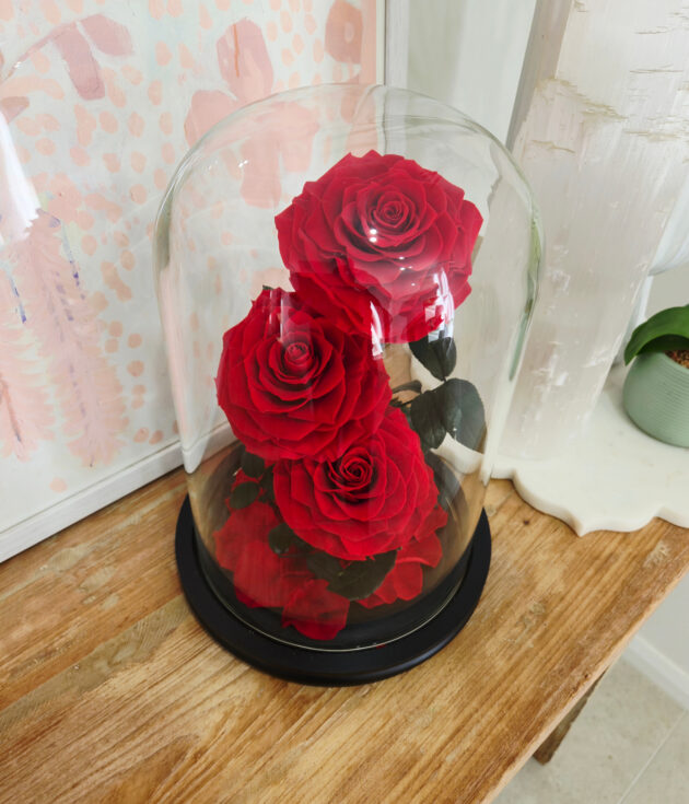Red Infinity Rose triple rose in Glass Dome - Image 5