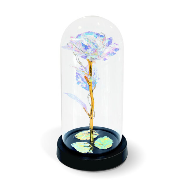 Clear LED Galaxy Infinity Rose with Dome