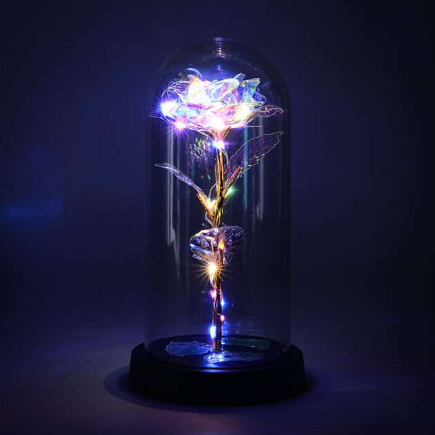 LED Clear Rose Night