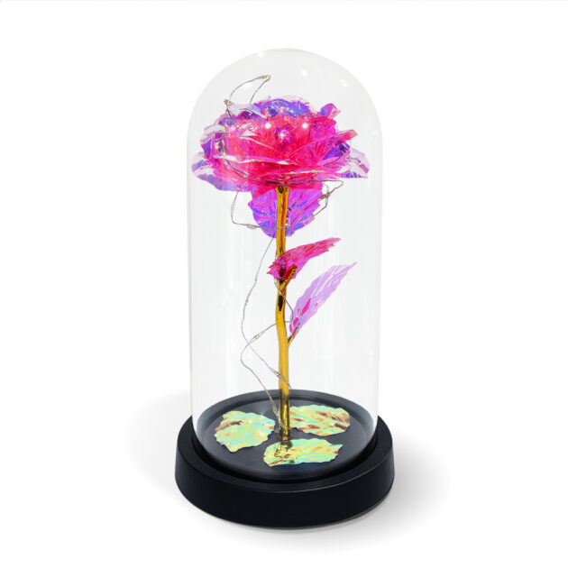 Pink LED Galaxy Infinity Rose with Dome