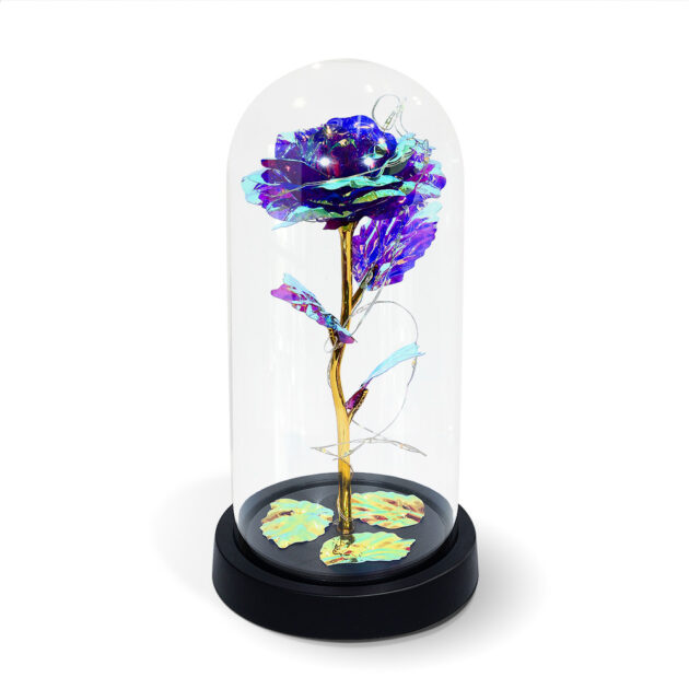 Purple LED Galaxy Infinity Rose with Dome