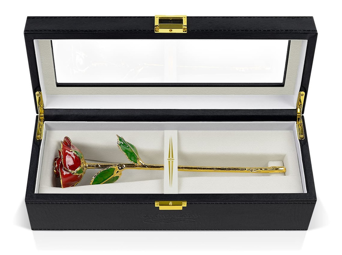 red rose with premium display case