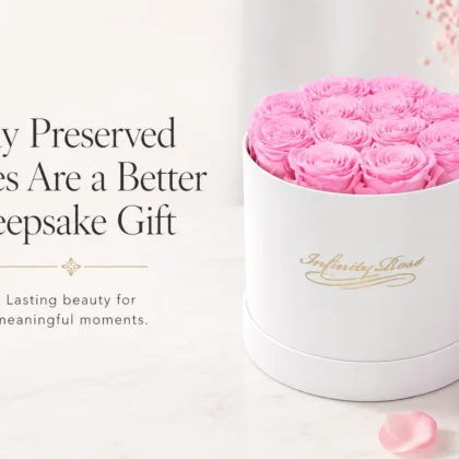 Pink preserved roses in an Infinity Rose keepsake box