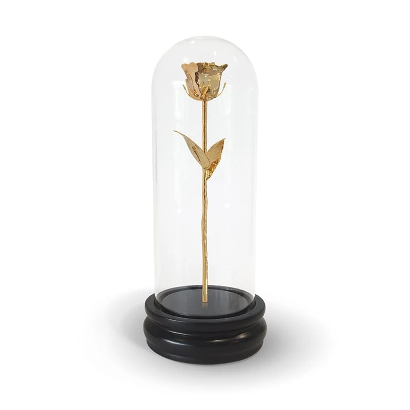 Gold-dipped rose displayed inside a clear glass dome on a black base